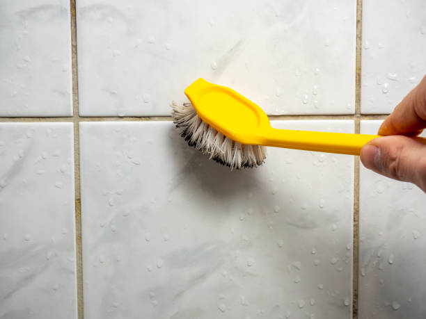Best Same-Day Mold Removal  in Manning, IA