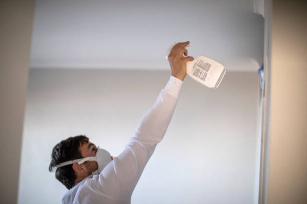 Best Toxic Mold Removal  in Manning, IA
