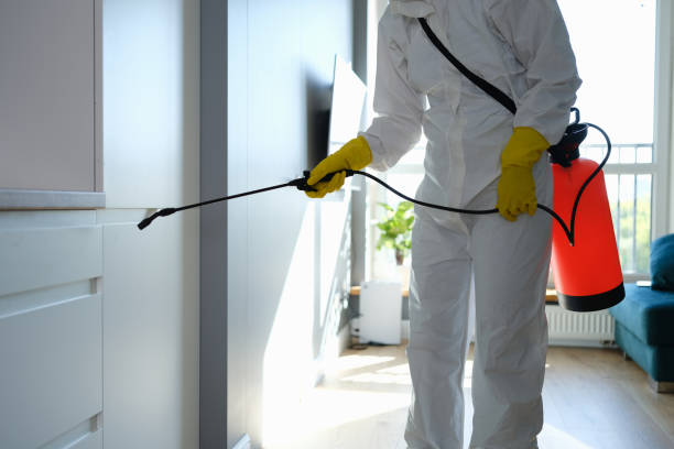 Best Office Mold Removal Services  in Manning, IA