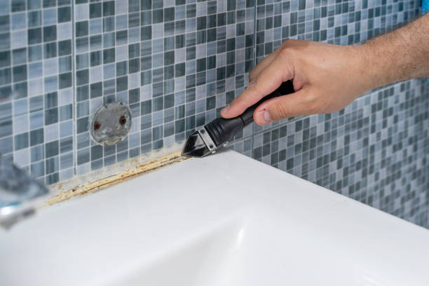 Best Fast Mold Removal  in Manning, IA